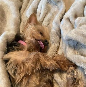 Meet your Posher, Angie